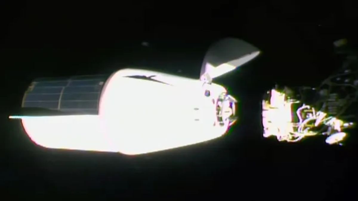 SpaceX Dragon Capsule Reaches ISS Carrying 6,500 Pounds of Supplies