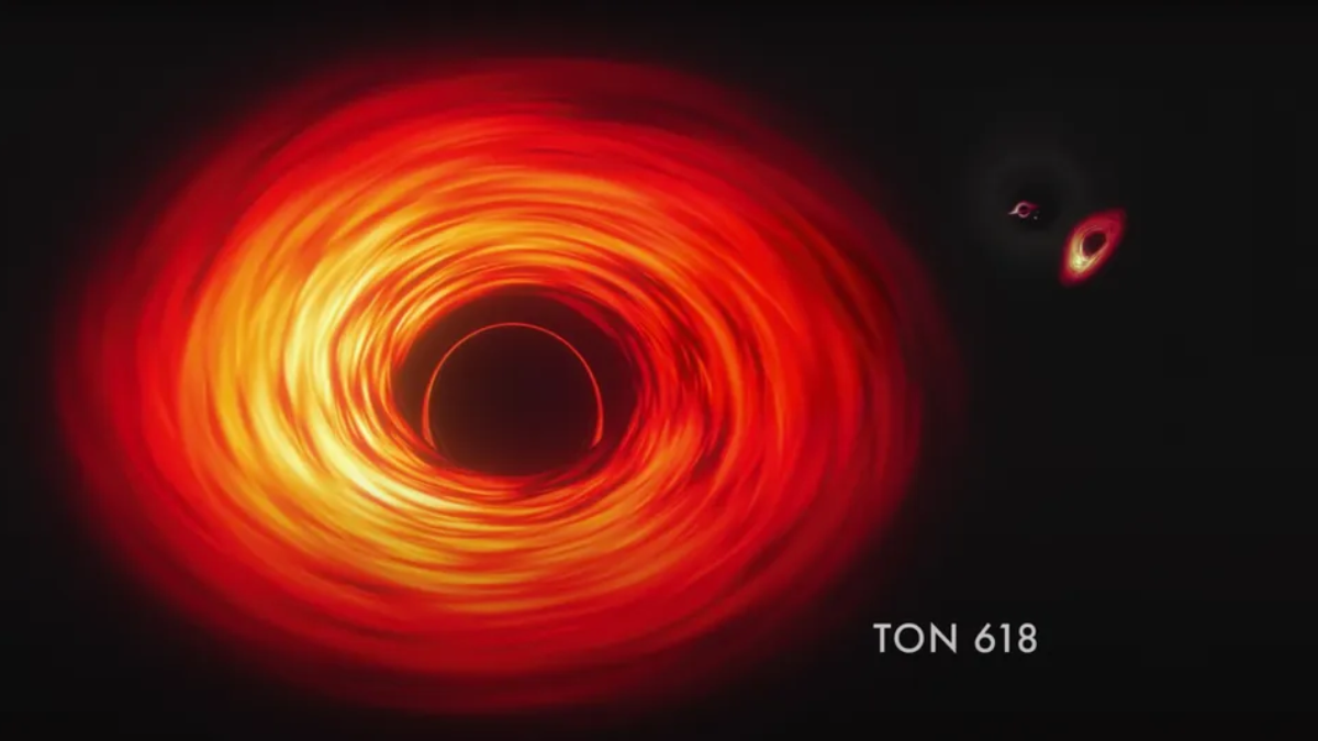 JWST Uncovers the Origins of the Universe&rsquo;s First Supermassive Black Holes