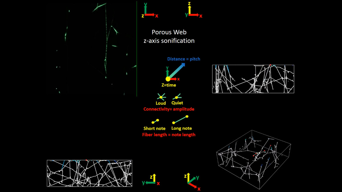 Ever Heard What a Spiderweb Sounds Like? It’s Spookier Than Spiders