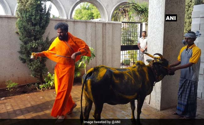 Before Voting, High-Profile BJP Candidate Sriramulu Performs Cow Worship
