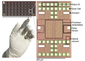Sub-Millimeter Robots Can Sense, Think, and Act Autonomously, New Study Finds