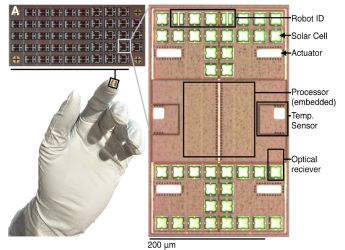 Microrobots smaller than a millimeter can think and act on their own