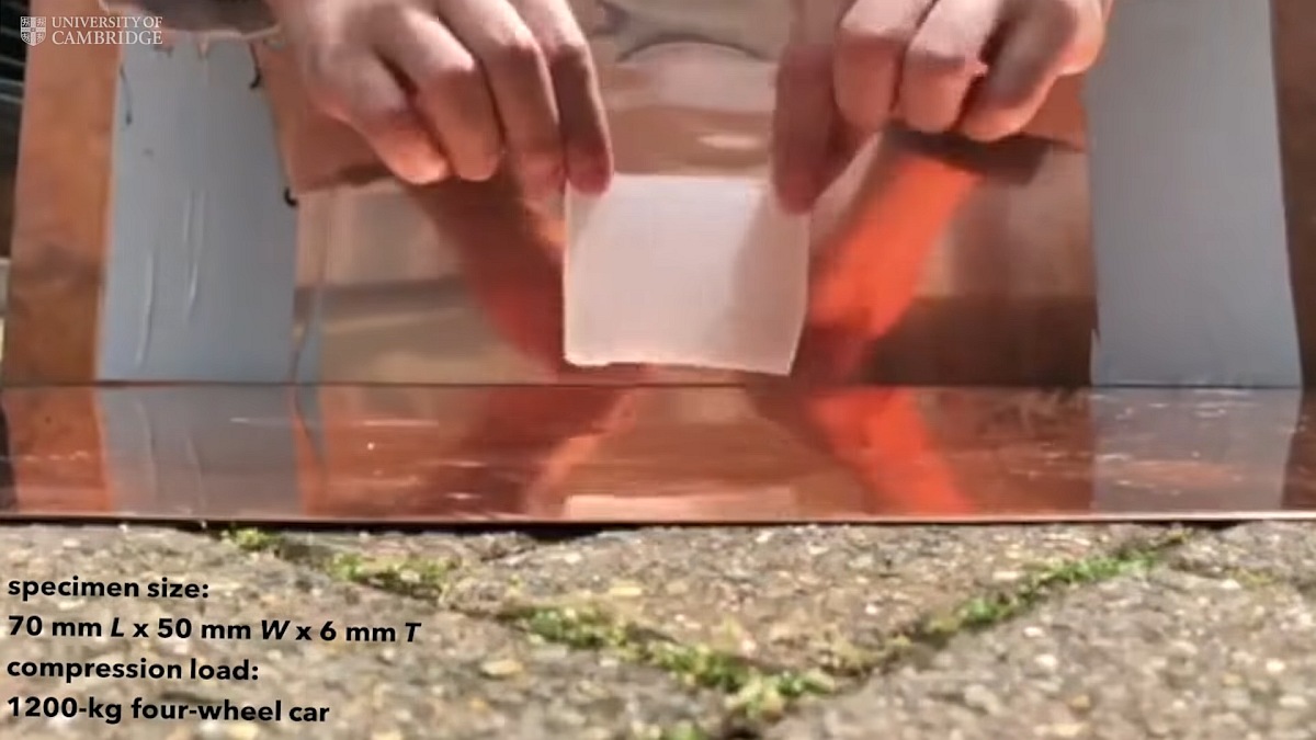 This 'Super Jelly' Material Created With 80 Percent Water Can Withstand an Elephant's Weight