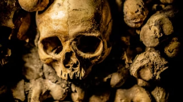 Rift Valley Research Suggests It May Not Be the Exclusive Cradle of Humankind Rift Valley Research Suggests It May Not Be the Exclusive Cradle of Humankind