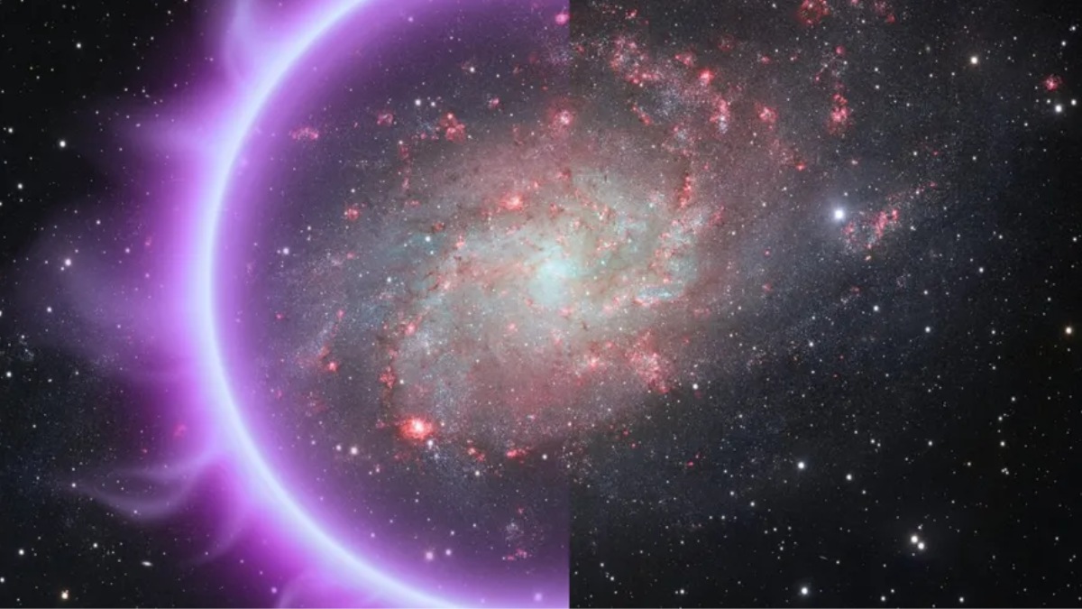 Dark Matter May Not Exist, Study Suggests Gravity Works Differently at Cosmic Scales