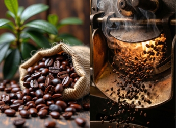 Best Coffee Bean Brands for Espresso in India: Rich Crema, Bold Roast & Unmatched Flavour