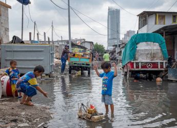 Scientists Test Nature-Based Fixes to Help Sinking Cities Rise Again
