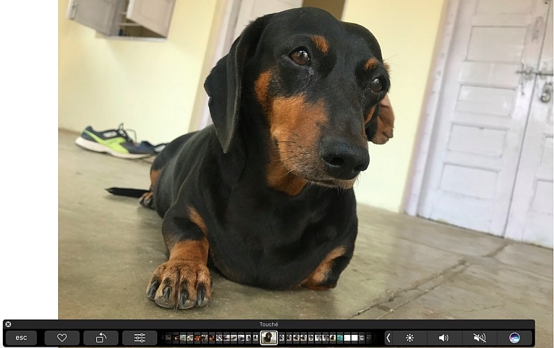 Touché Lets You Add the Touch Bar to Any Mac for Free