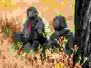 Pentagon Tests AI-Powered Information System That Could Give It Ability to &#039;See Days in Advance&#039;