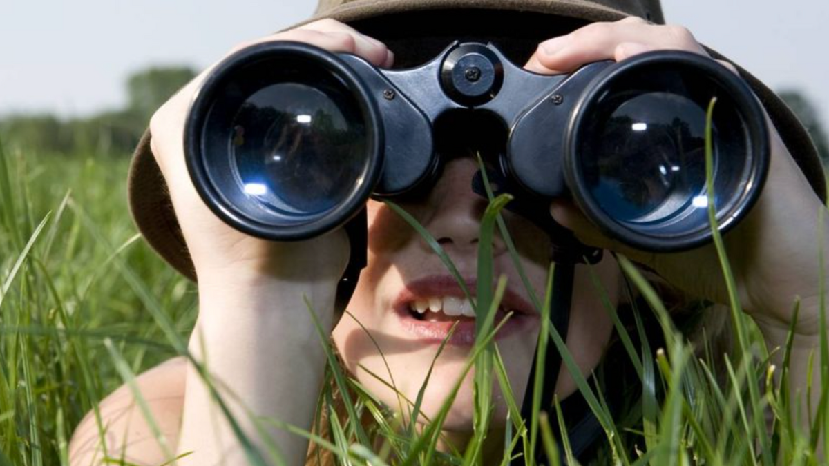 Myntra Sports Gear: Best Decathlon Binoculars