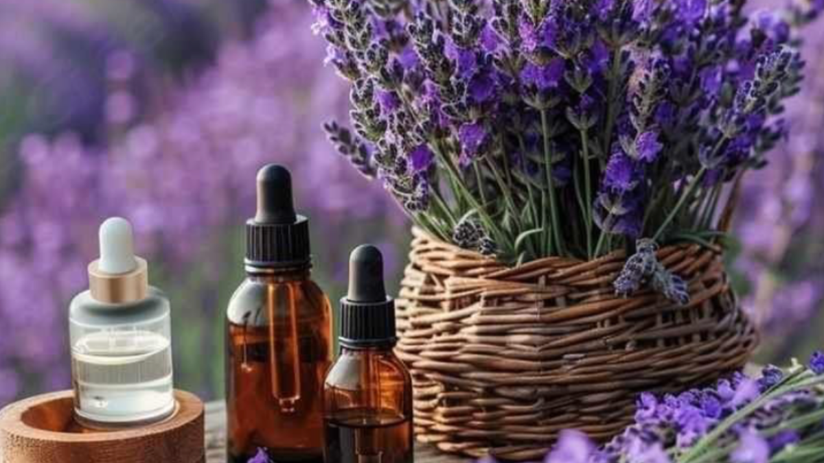 Fragrant Diwali: Best Reed Diffusers, Candles & Room Sprays on Myntra Fragrant Diwali: Best Reed Diffusers, Candles & Room Sprays on Myntra