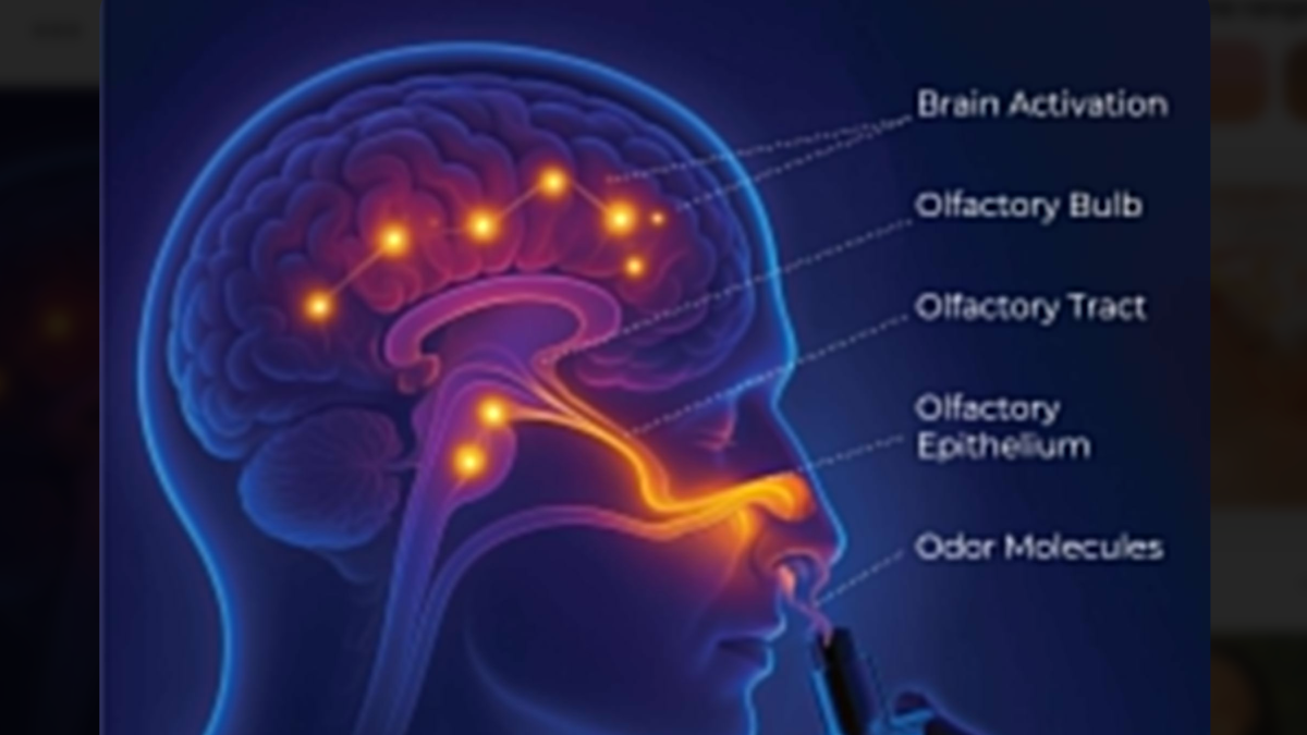 Wellness Scents: How Neuro-Fragrances Can Boost Your Confidence and Calm Your Mind