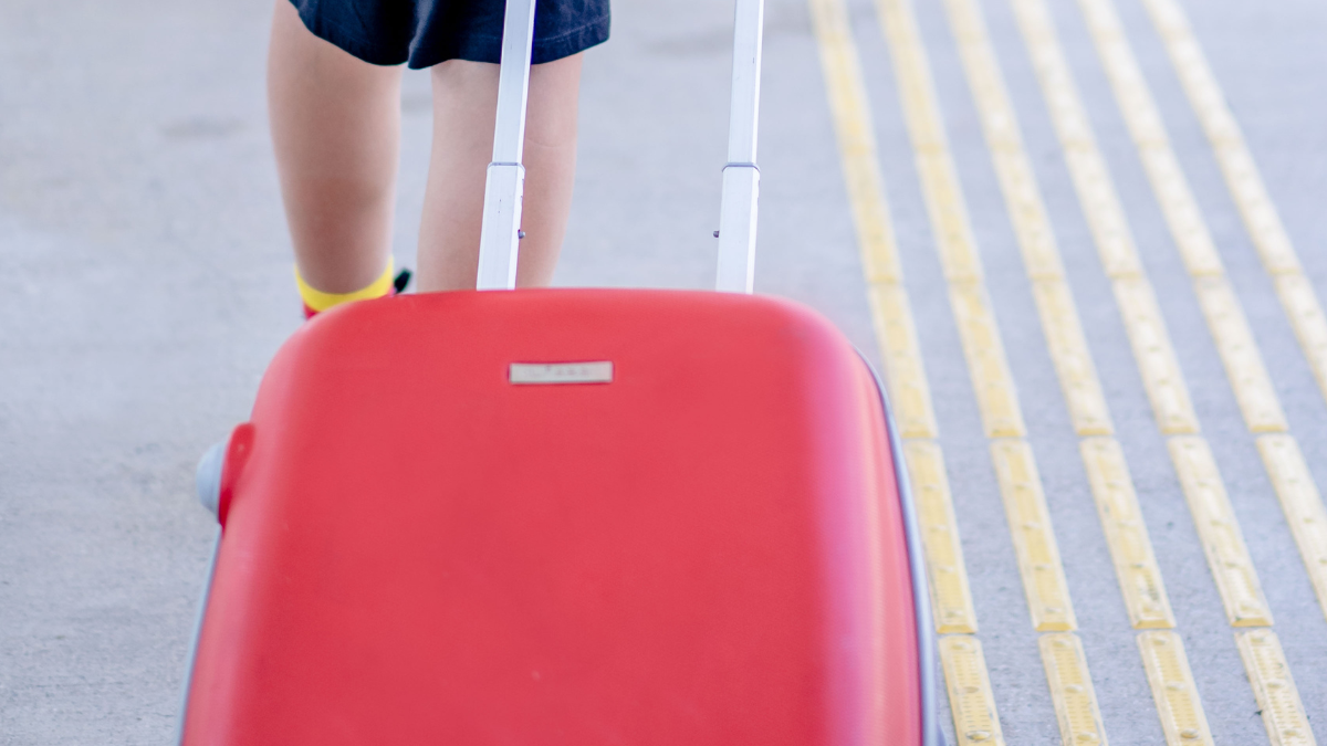 Travel in Luxury: Reviewing the Top Teakwood Leather Trolley Bags from Myntra