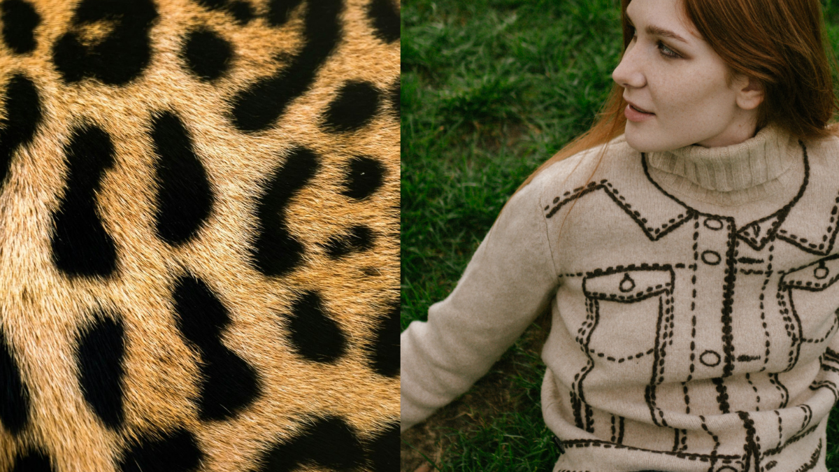 Best Animal Print Sweaters for a Bold Look: Check Prices on Myntra