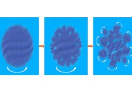 Physicists Reveal a New Type of Twisting Solid That Behaves Almost Like a Living Material Physicists Reveal a New Type of Twisting Solid That Behaves Almost Like a Living Material