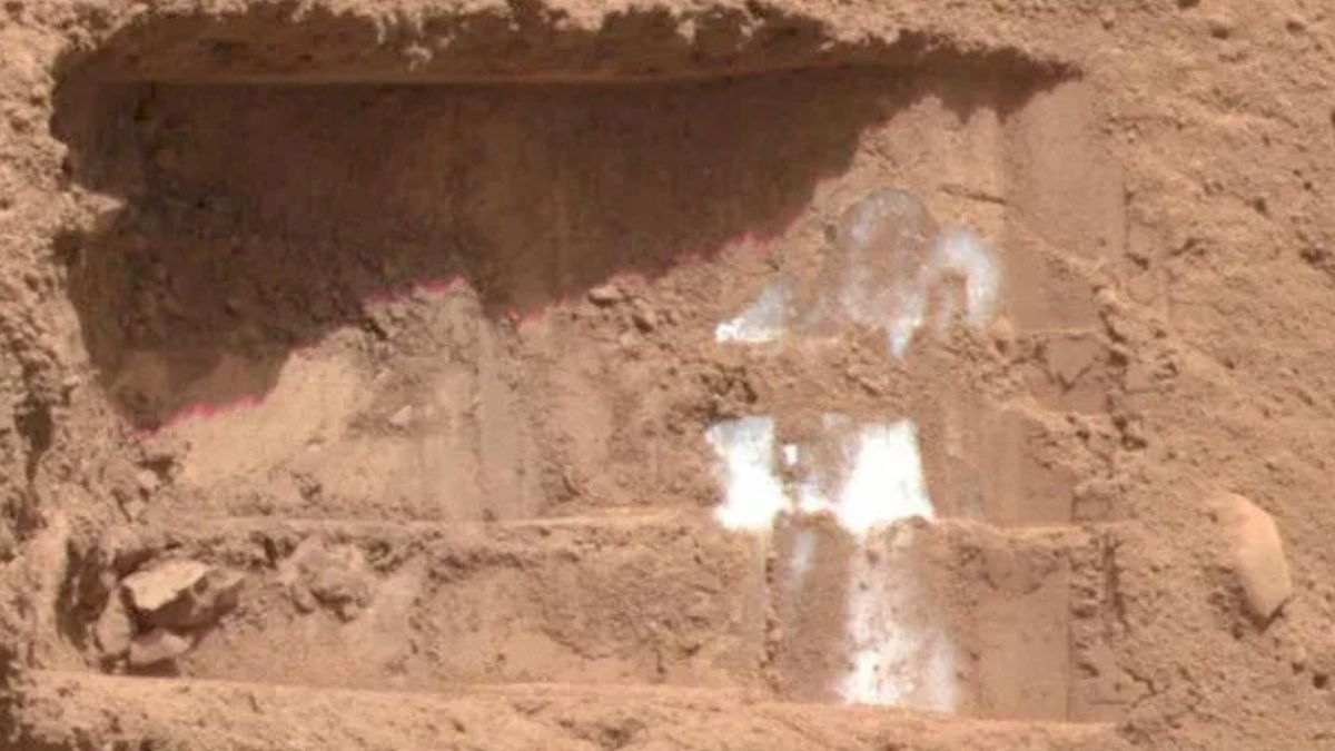 NASA Experiment Shows Martian Ice Could Preserve Signs of Ancient Life