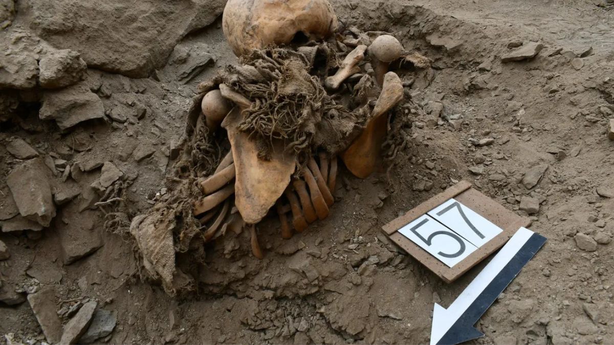 Archaeologists Unearth Circular Mass Grave of Wounded Individuals in Ancient Peruvian Tomb