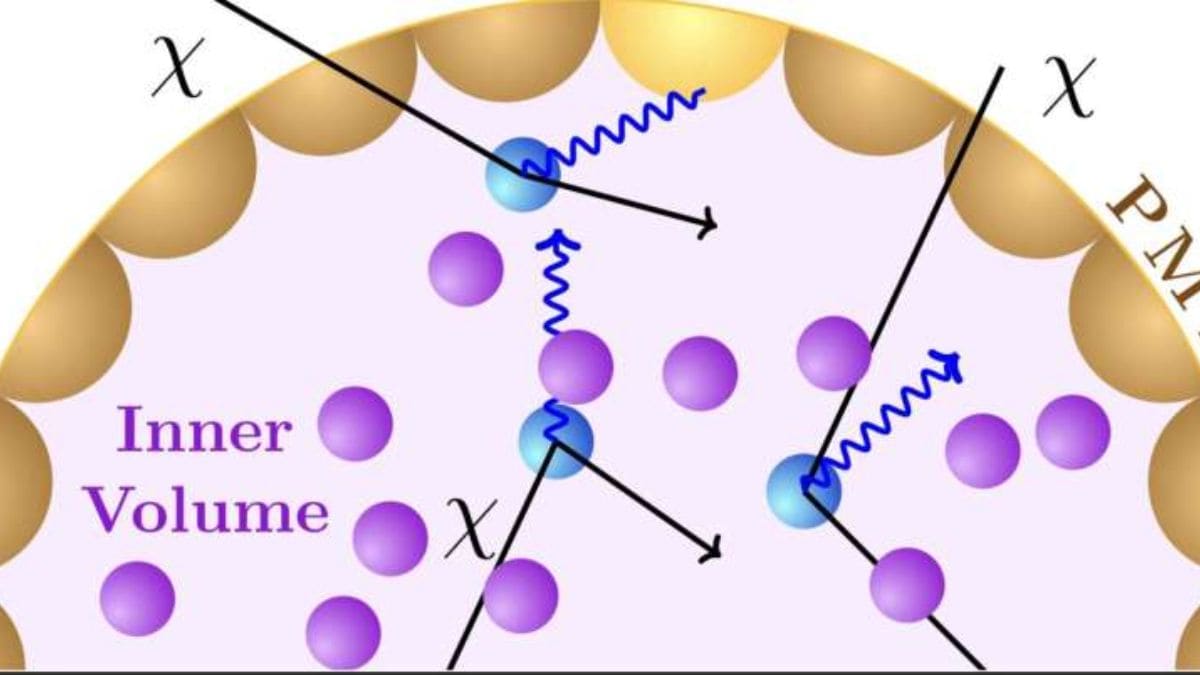 Neutrino Detectors May Unlock the Search for Light Dark Matter, Physicists Say