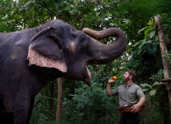 Vantara Sanctuary Stories Now Available for Streaming on JioHotstar