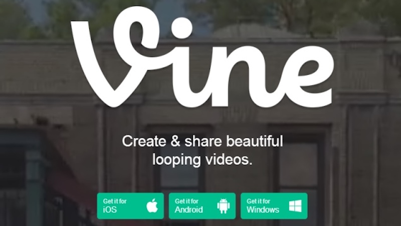 Twitter Reportedly Considering Sale of Vine Instead of Discontinuation