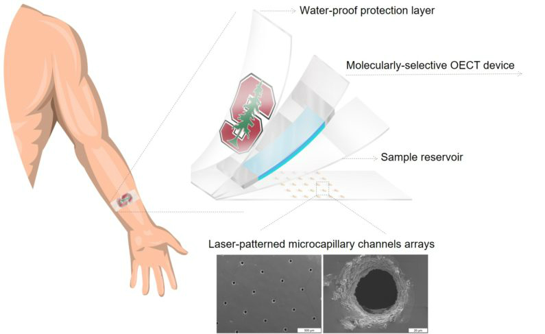 New Wearable Patch Can Detect Stress Level From Sweat