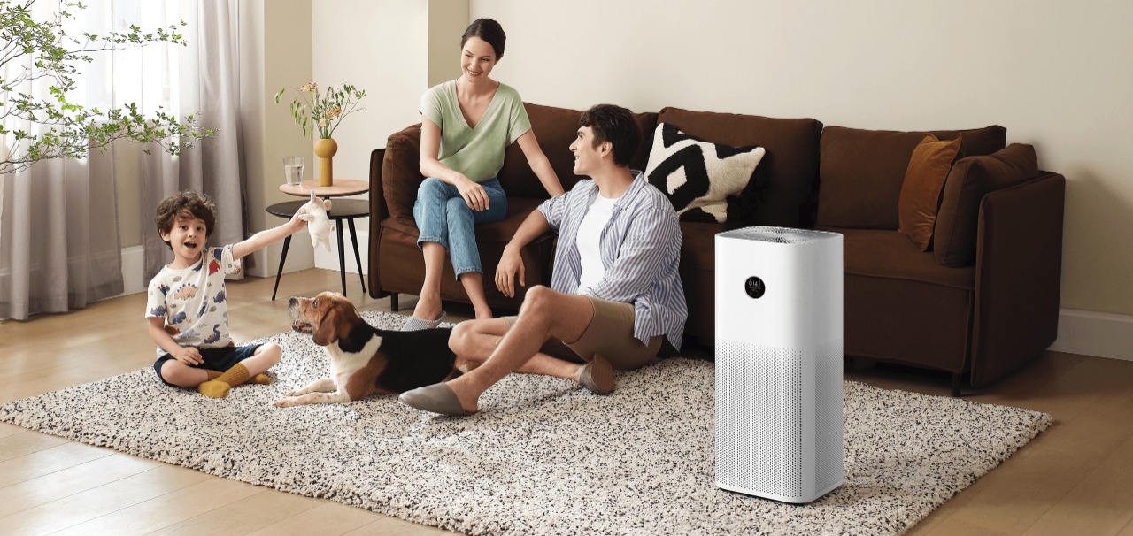 Must-Buy Air Purifiers for Your Home or Office