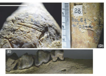Scientists Uncover New Form of Magnetism That Could Be the Key to Superconductivity