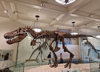 Sahara and Amazon May Hold Clues to Dinosaurs&rsquo; Earliest Origins, New Study Suggests