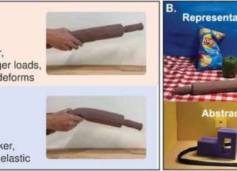 Study Reveals How Humans Touch Unfamiliar Objects, Shaping Human–Robot Interaction Research