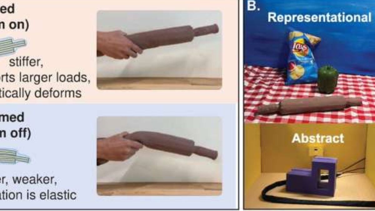 Study Reveals How Humans Touch Unfamiliar Objects, Shaping Human&ndash;Robot Interaction Research