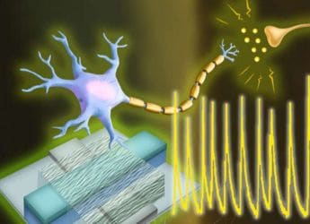 Engineers Create First Artificial Neurons With Electrical Functions As Living Cells
