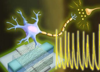Engineers Create First Artificial Neurons With Electrical Functions As Living Cells
