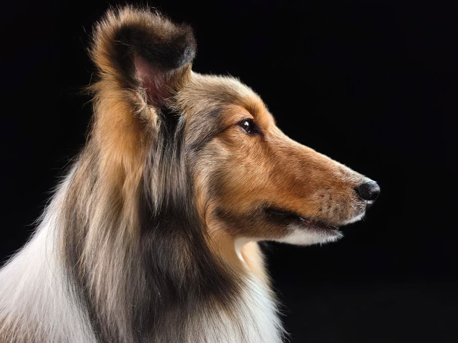 WhatsApp Image 2026 03 15 at 130333 zoom