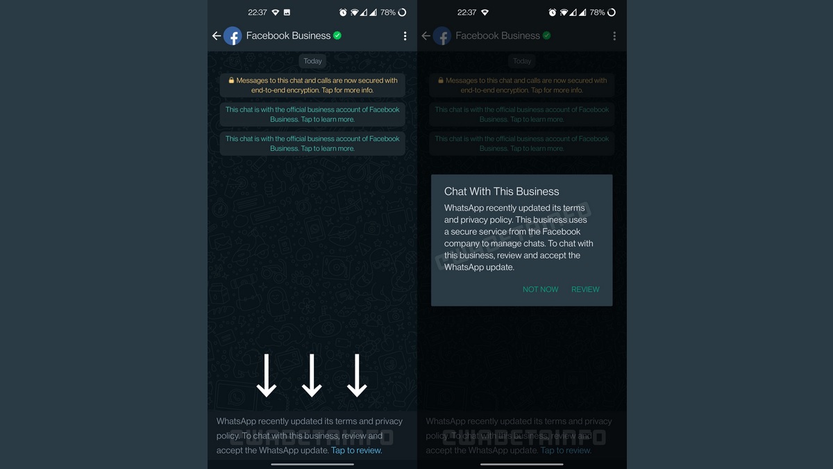 WhatsApp Will Make Accepting Updated Terms of Service Optional for Users: Report