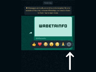 WhatsApp Working on New Message Reactions for Android Users on Beta: Report