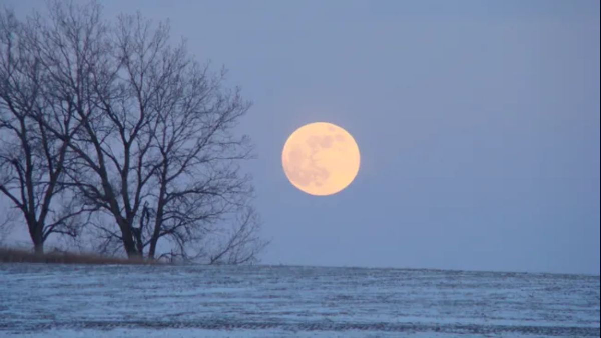 Wolf Moon Supermoon 2026: Rare January Full Moon Near Perihelion Lights Up the Sky