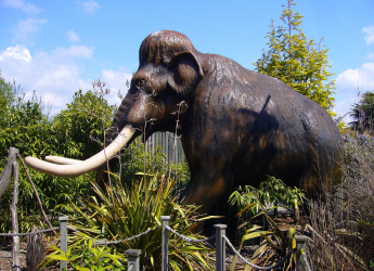 Did Pollen Allergies Cause Woolly Mammoths&#039; Extinction? New Study Proposes a Surprising Theory