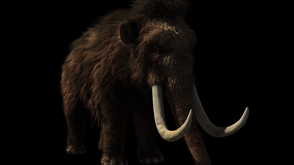 Bioscience Firm Colossal Says It Will Bring Back Woolly Mammoths, Other Species From Extinction Using CRISPR