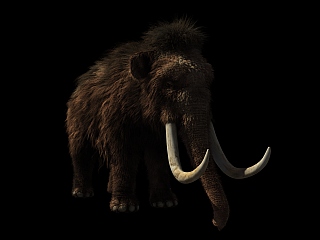 Bioscience Firm Colossal Says It Will Bring Back Woolly Mammoths, Other Species From Extinction Using CRISPR