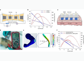 Scientists Create Stretchy Rubber That Converts Body Heat Into Electricity for Wearables