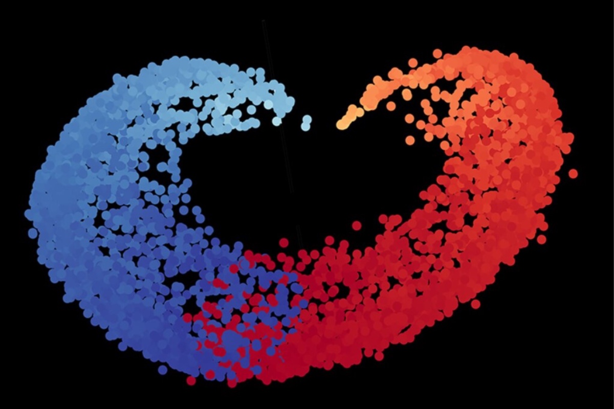 AI Program Helps Identify Variables in Physical Concepts