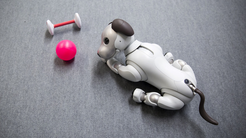 Meet Aibo, a Robot Dog That Will Melt Your Heart With Mechanical Precision