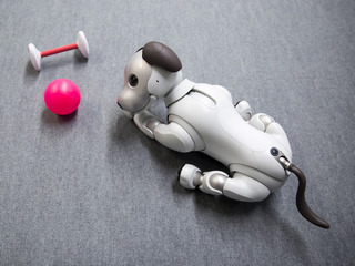 Meet Aibo, a Robot Dog That Will Melt Your Heart With Mechanical Precision
