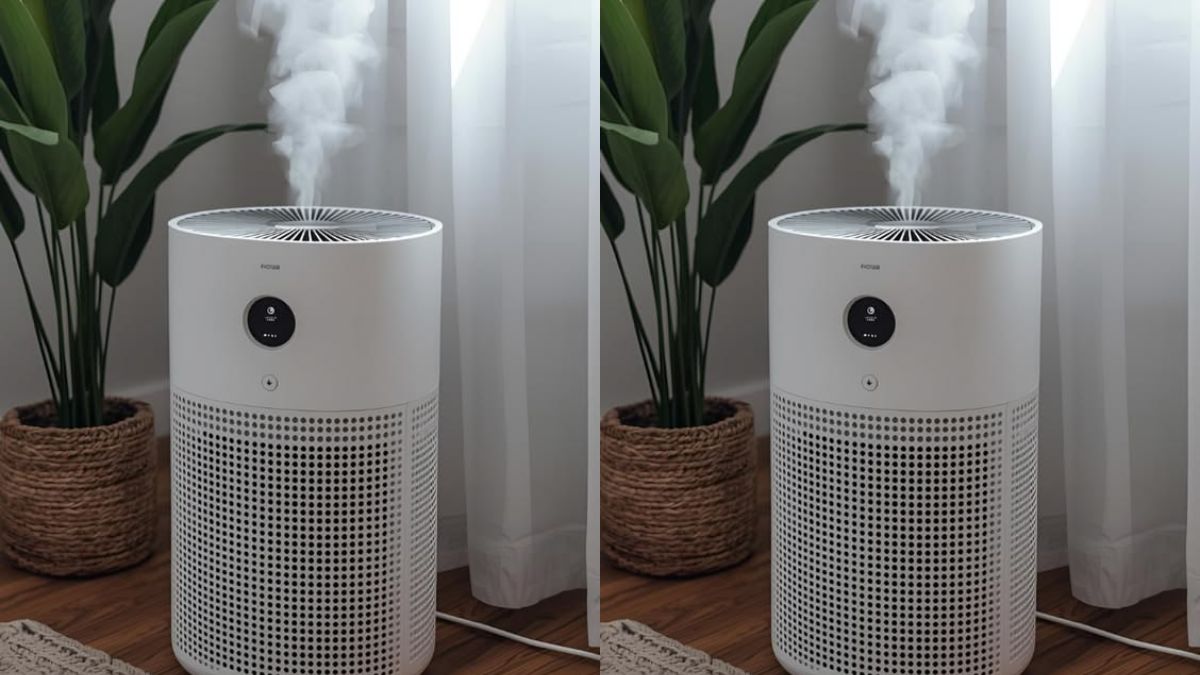 Best Mini Portable Air Purifiers For Clean Air On The Go