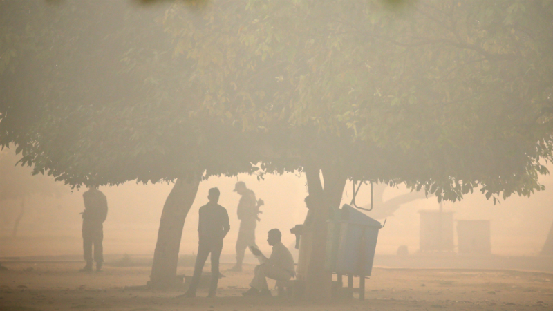 Beyond Air Purifiers: 8 Low-Tech Ways to Minimise Air Pollution's Harmful Effects