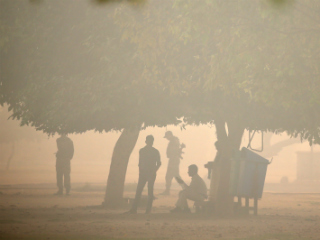 Beyond Air Purifiers: 8 Low-Tech Ways to Minimise Air Pollution&#039;s Harmful Effects