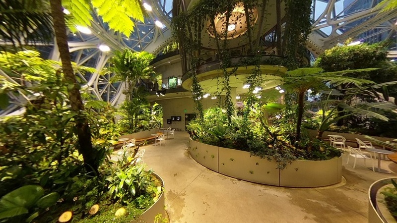 Amazon Opens Plant-Filled 'The Spheres' Buildings