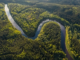 Microbes Uncovered in Amazon Peatlands Could Alter Global Carbon Dynamics Microbes Uncovered in Amazon Peatlands Could Alter Global Carbon Dynamics
