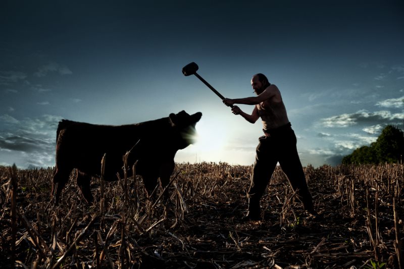 Amazon Prime Video Censorship Evolves With an 'Indian Version' of American Gods