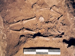 17,000-Year-Old DNA of Ice Age Infant Reveals Dark Skin, Blue Eyes 17,000-Year-Old DNA of Ice Age Infant Reveals Dark Skin, Blue Eyes